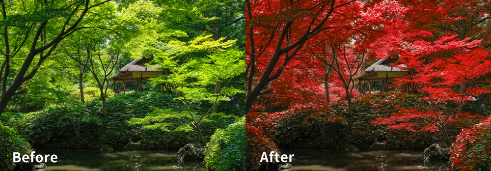 Photoshopレタッチ制作実績:新緑から紅葉へ|ふくうめデザイン